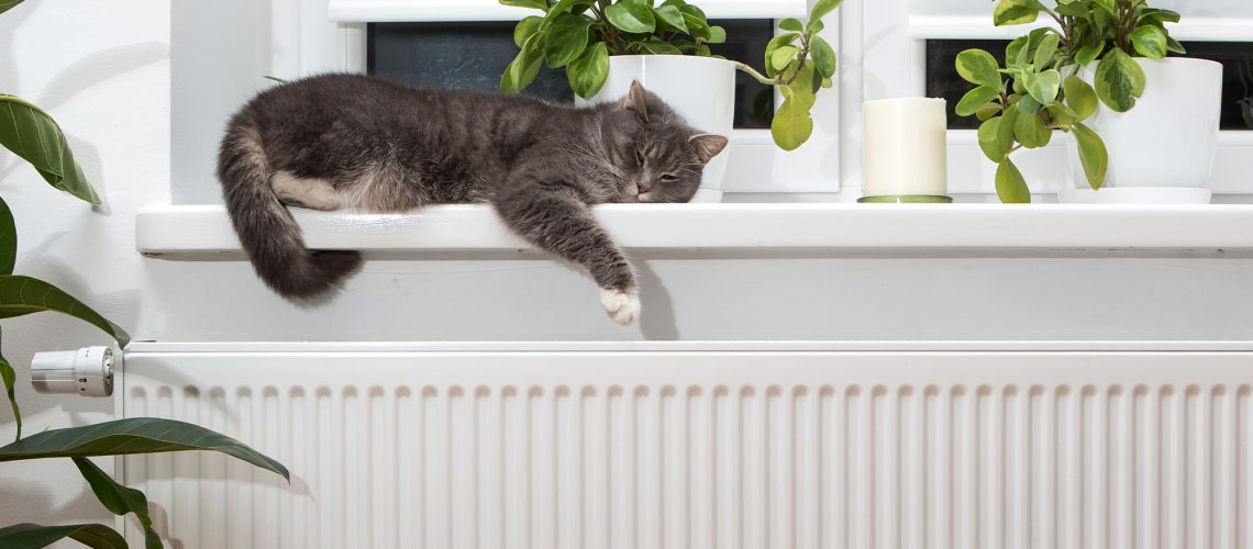 a cat asleep on a window sill directly above warm radiators