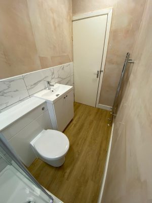 Narrow bathroom toilet and sink suite with storage