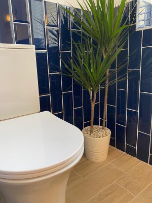 kitchen to bedroom conversion new toilet with blue vertical brick style gloss tiles and feature indoor plant in corner