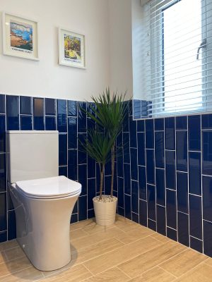 kitchen to bedroom conversion new toilet with blue vertical brick style gloss tiles and feature indoor plant in corner with pictures on wall and window