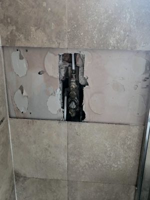 shower-upgrade (3)