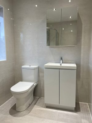 bathroom and ensuite project showing ensuite toilet and sink unit with mirror cupboard above sink