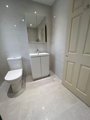 bathroom and ensuite project showing toilet, sink, mirrored cupboard and door