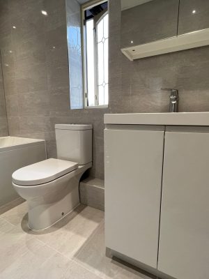 bathroom and ensuite project showing bathroom toilet and sink unit complete with under sink cupboard and mirrored cabinet above sink
