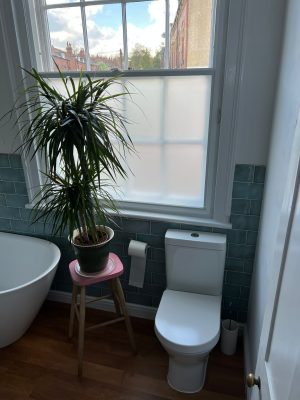 uneven bathroom floor showing new toilet, stool with bathroom plant in front of window with green gloss bathroom tiles